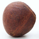 Bansi Dry Coconut Whole 1LB