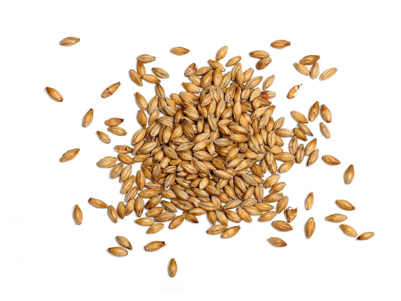 Barley Whole 2LB