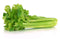 Celery Bunches