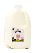 Clover Organic Whole Milk