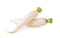 Daikon Radish