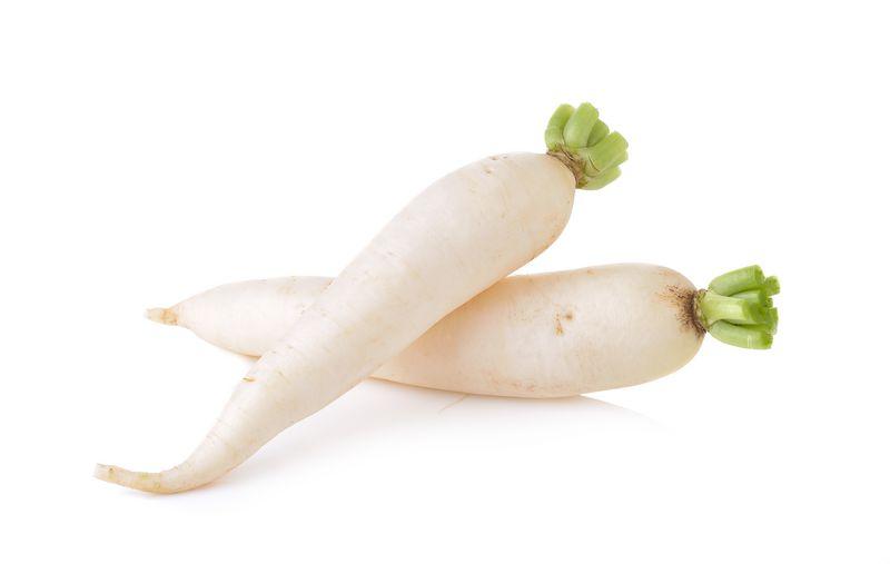 Daikon Radish