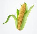 Fresh Yellow Corn