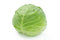 Green Cabbage