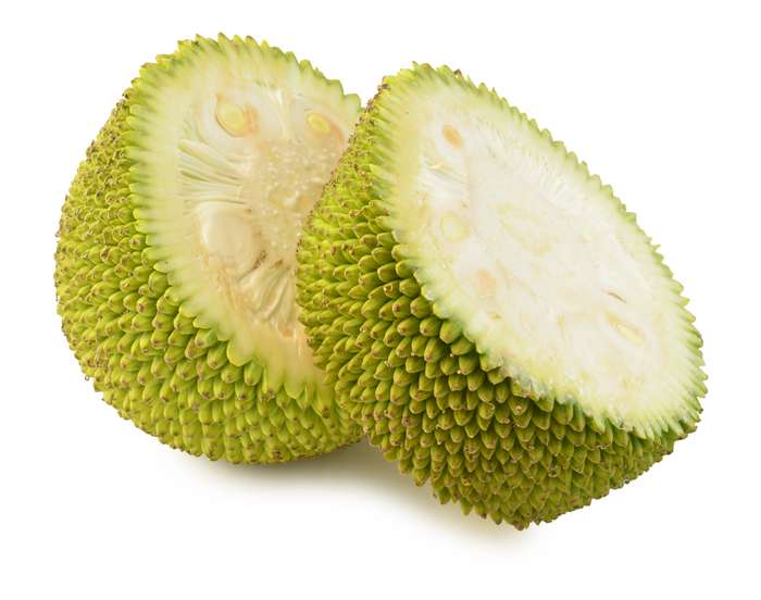 Jackfruit