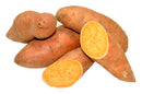 Jewel Garnett Yams Sweet Potatoes