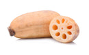 Lotus Root