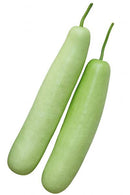 Opo - Dudhi - Lauki - Bottle Gourd