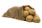 Russet Potatoes 5 LB