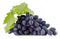 Seedless Black Grapes