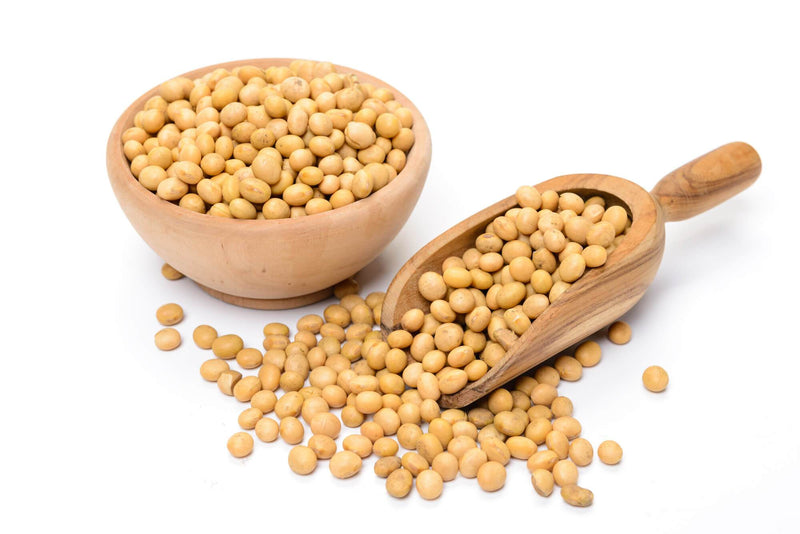 Soya Beans (Dry) 2LB