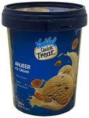 Vadilal Quick Treat Anjeer Ice Cream 500ml